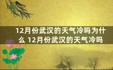 12月份武汉的天气冷吗为什么 12月份武汉的天气冷吗